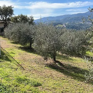 https://agriturismo-vigna-de-luceri.in-sardinia.net